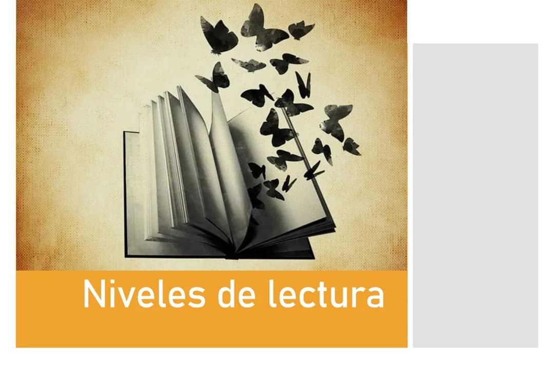 Niveles de lectura