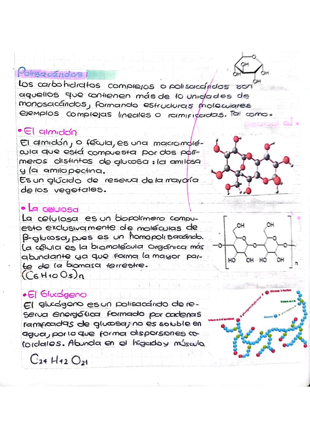 Apunte sobre los polisacáridos