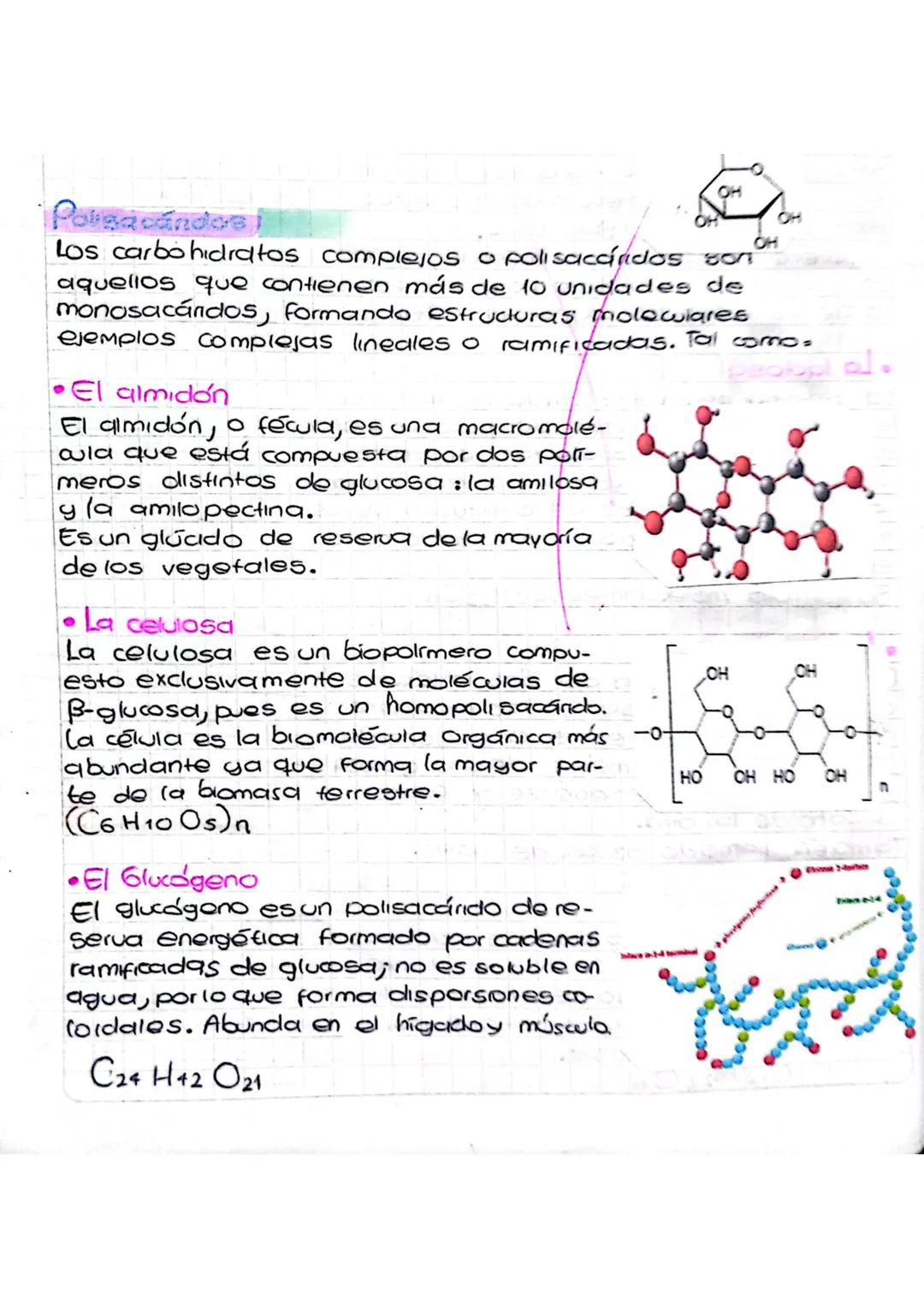 OH
P.
Potsacándos
OH
OH
Los carbohidratos complejos o polisacaridos son
aquellos que contienen más de 10 unidades de
monosacándos, formando 