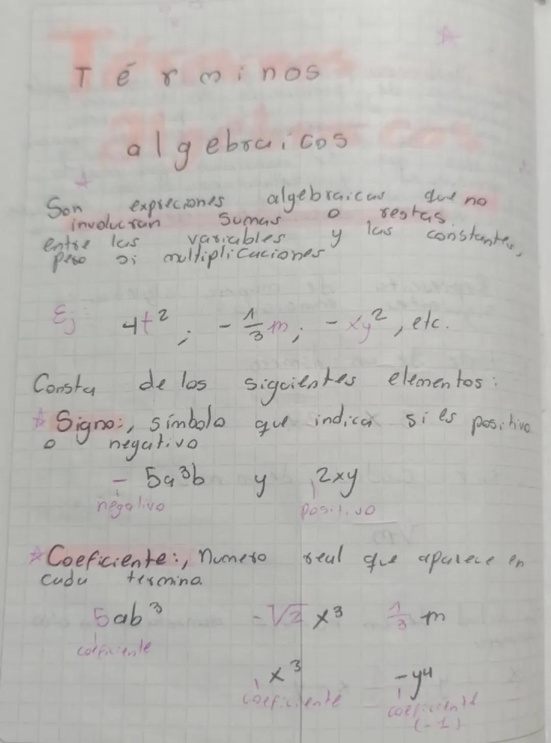 Términos algebreicos