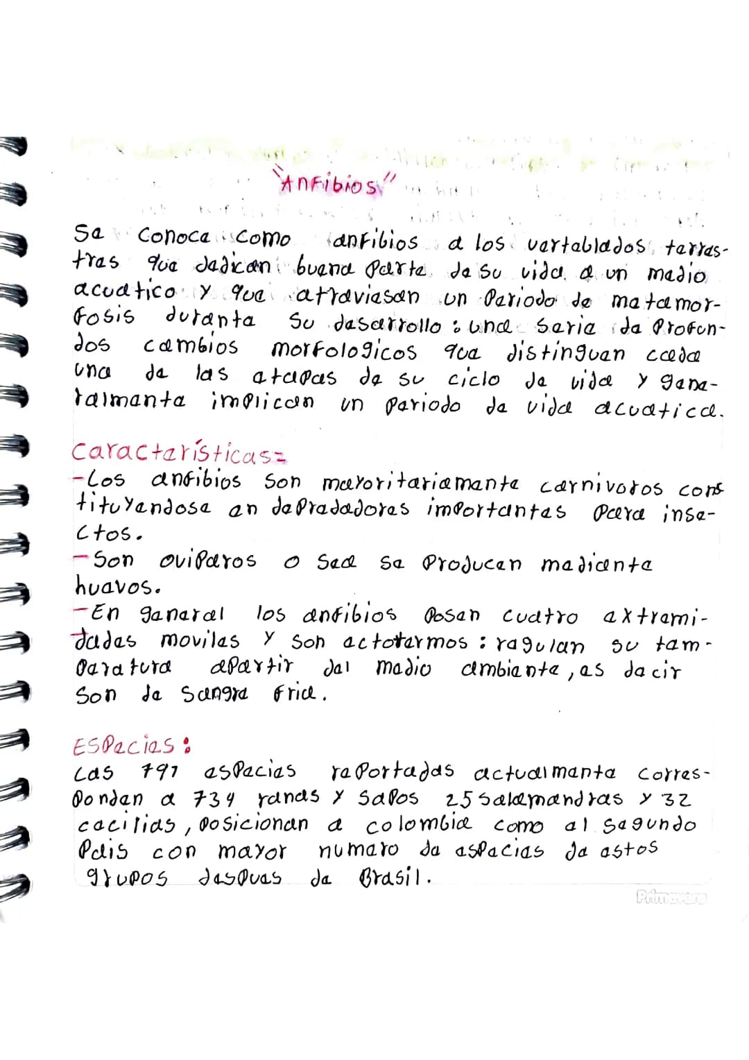 Anfibios 