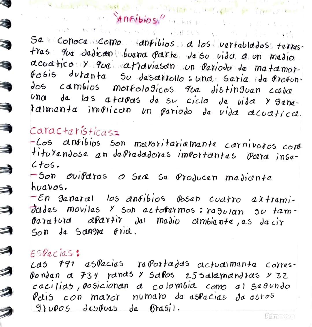 Sa
Fosis
"Anfibios"
Conoce como
Juranta
Cambios
(antibios
a los vertablados terres-
tres que dedican buena parte de su vida a un medio
acuat