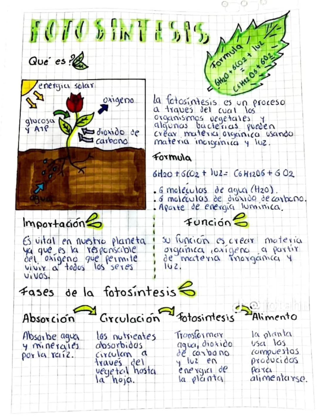 0
Formula
6H20+
+6002 +
FOTOSINTESIS
Qué es
?
energia solar
oxigeno
glucosa
YATP
dioxido de
carbono
Importación
Es vital en nuestro planetai