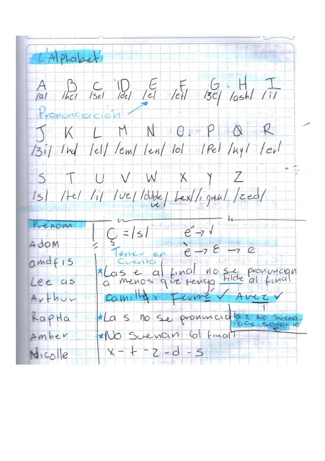 Francés A1 - Bases del francés