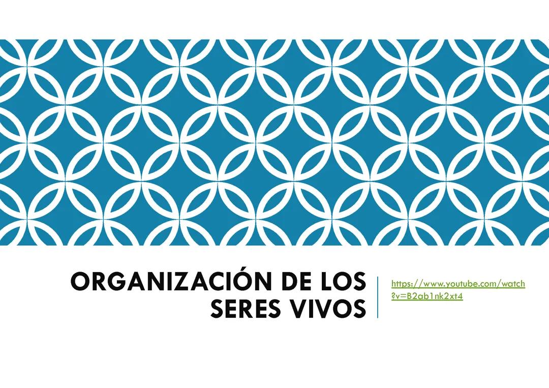 Organización de los seres vivos 