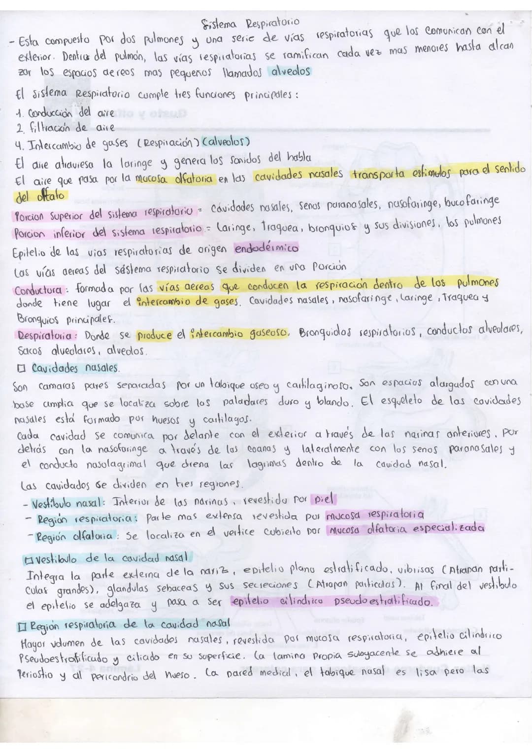 Histología sistema respiratorio