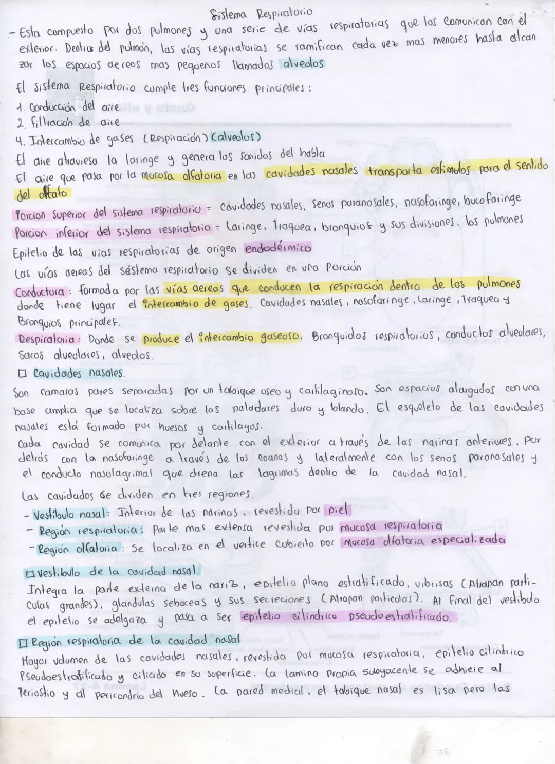 Sistema Respiratorio
- Esta compuesto por dos pulmones y una serie de vías respiratorias que los Comunican con el
exterior. Dentros del pulm