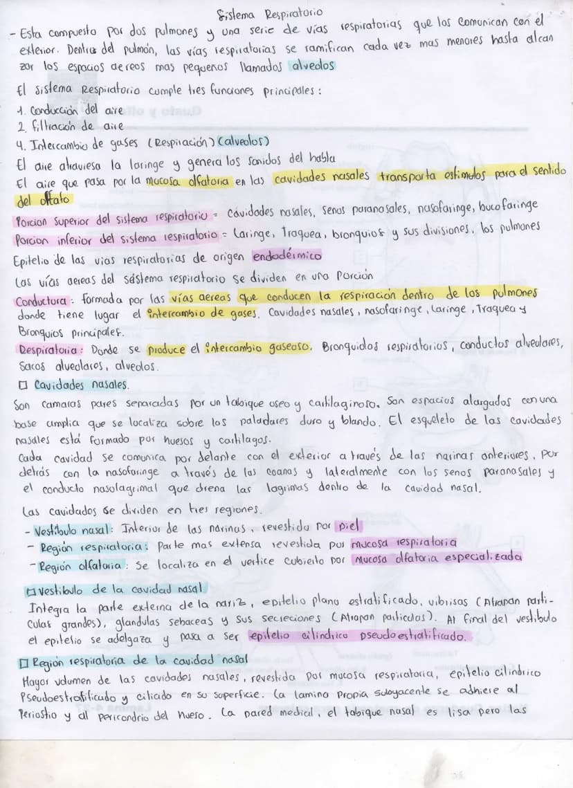 Sistema Respiratorio
- Esta compuesto por dos pulmones y una serie de vías respiratorias que los Comunican con el
exterior. Dentros del pulm