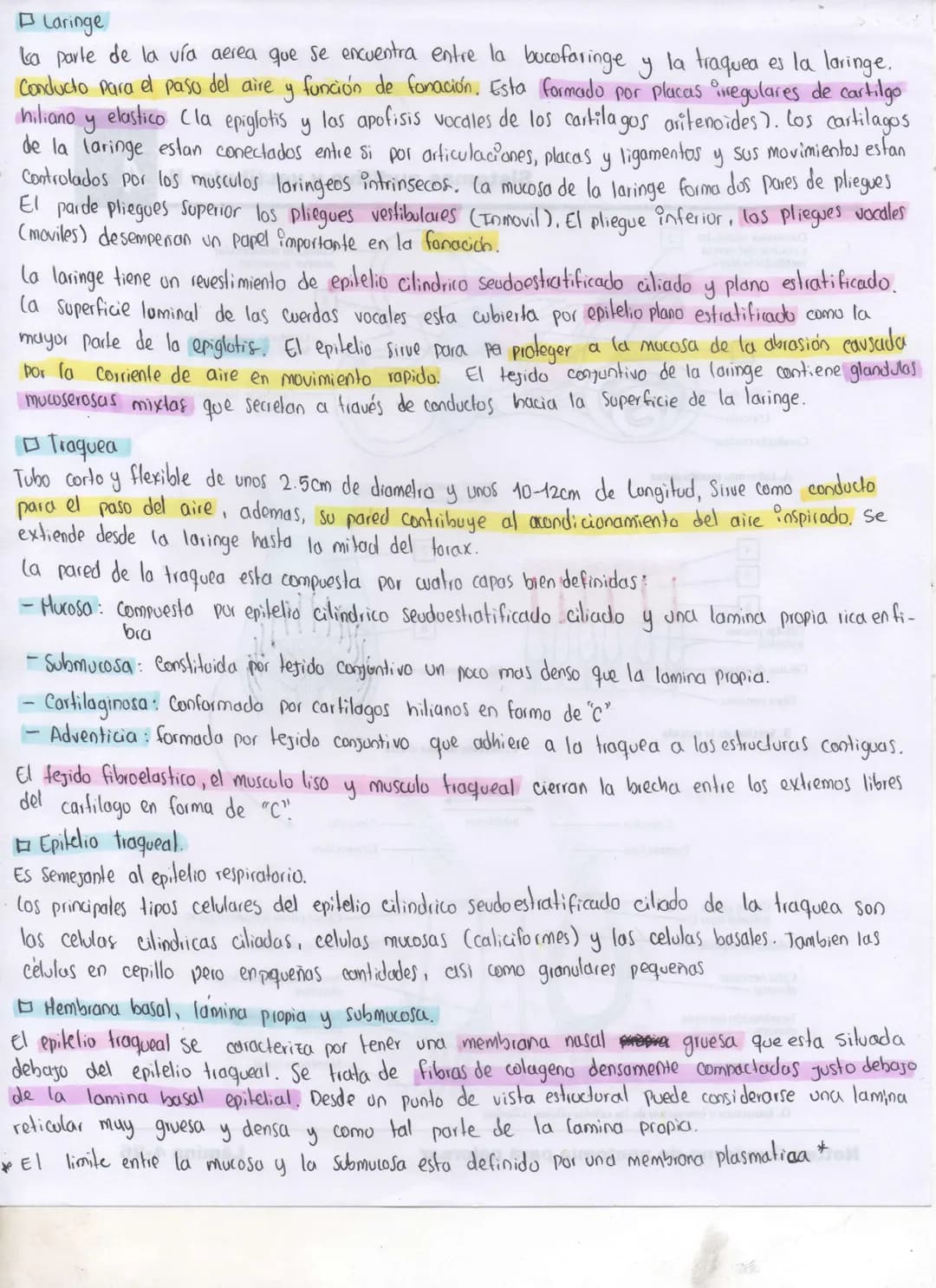 Sistema Respiratorio
- Esta compuesto por dos pulmones y una serie de vías respiratorias que los Comunican con el
exterior. Dentros del pulm