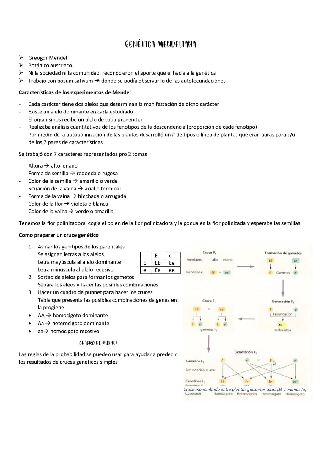 LEYES DE MENDEL 