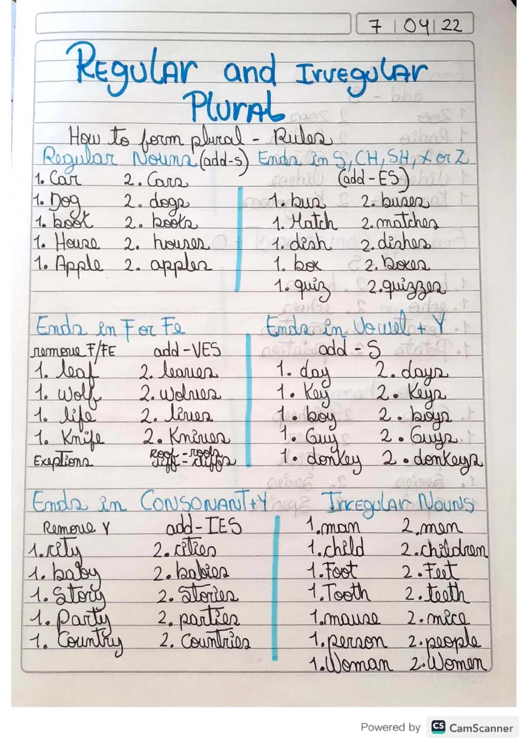 Regular and irregular plural