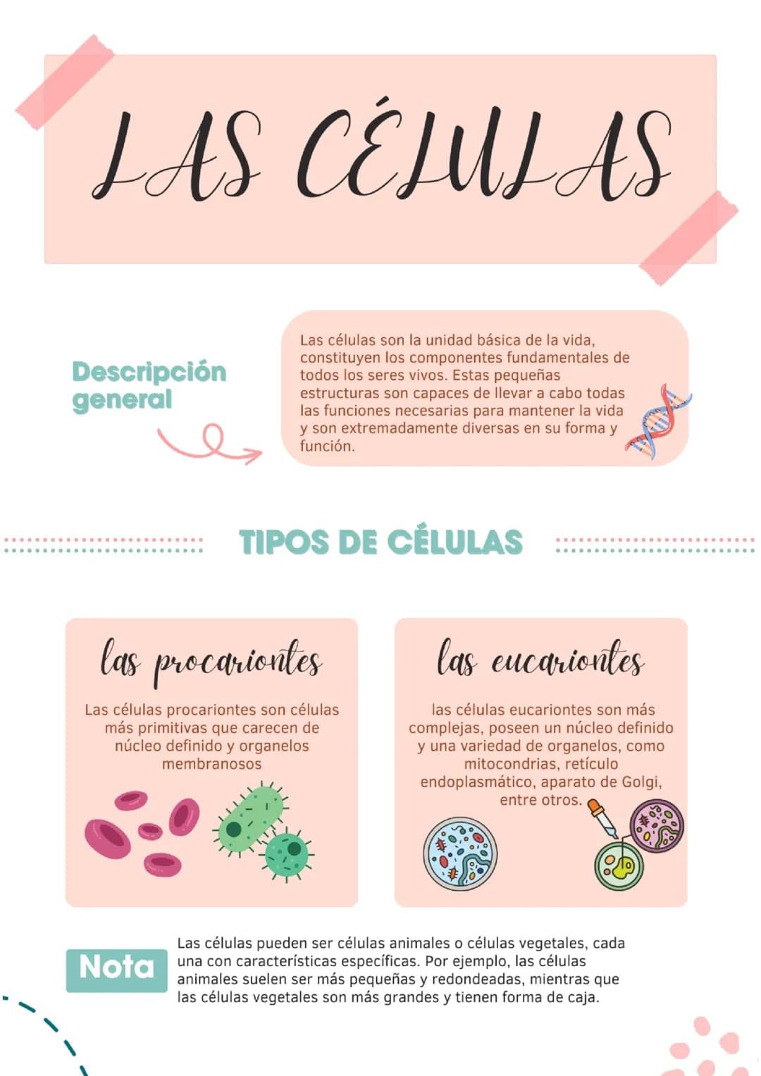 Las Celulas