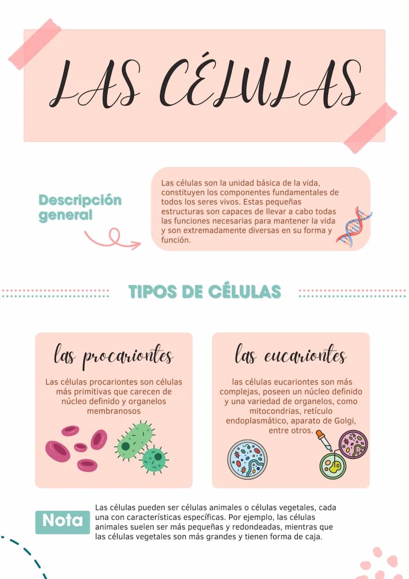 LAS CÉLULAS
Descripción
general
Las células son la unidad básica de la vida,
constituyen los componentes fundamentales de
todos los seres vi