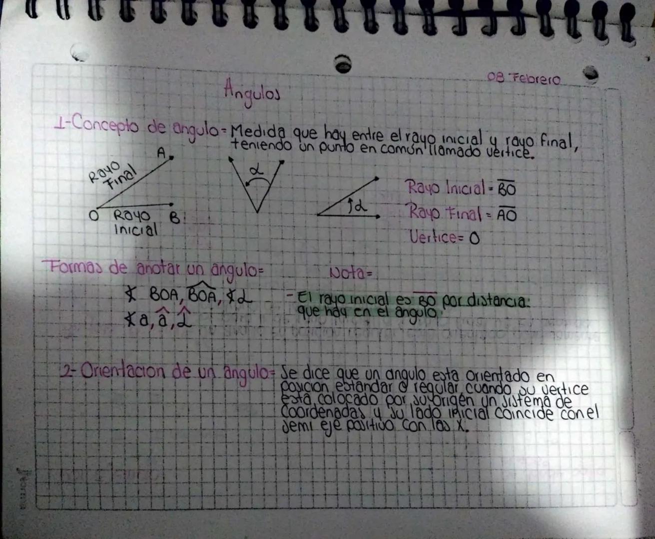 08 Febrero
Angulos
1-Concepto de angulo-Medida que hay entre el rayo inicial y rayo final,
teniendo un punto en común llamado vertice.
Rayo
