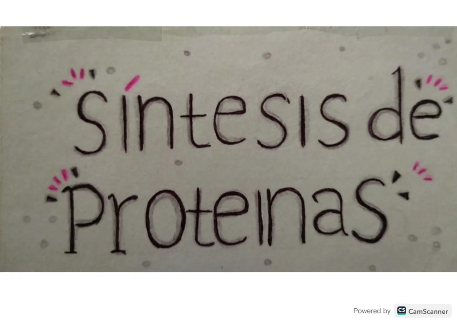 Síntesis de
Proteinas
Powered by CS CamScanner ¿Qué es?
Je
La on teos de proteinas o traducción del ARN
eo el proceso anabolico medionie el 