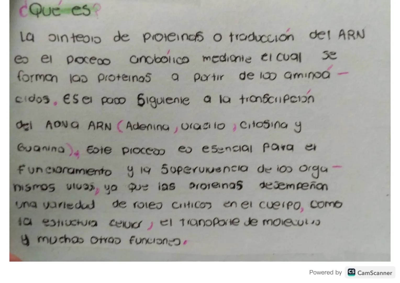 Síntesis de
Proteinas
Powered by CS CamScanner ¿Qué es?
Je
La on teos de proteinas o traducción del ARN
eo el proceso anabolico medionie el 