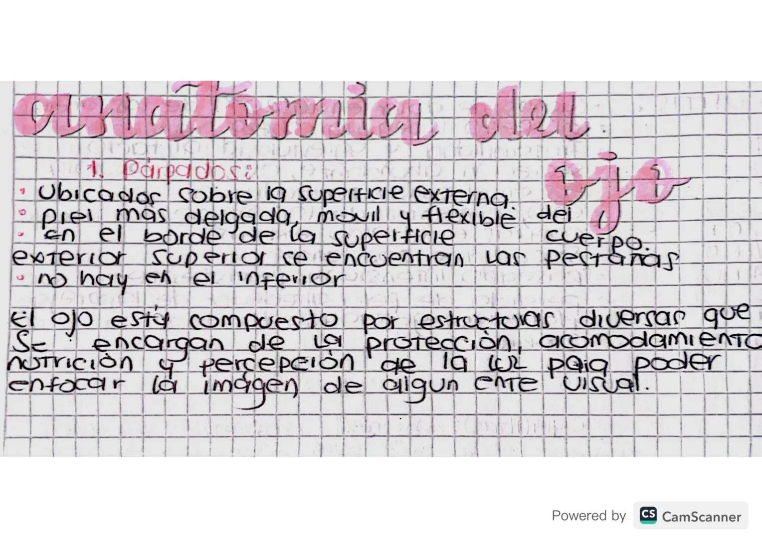 f
1. Parpados:
*   Ubicados sobre la superficie externa.
9
piel mas delgada, movil y flexible dei /
En el borde de la superficie cuerpo.
ext