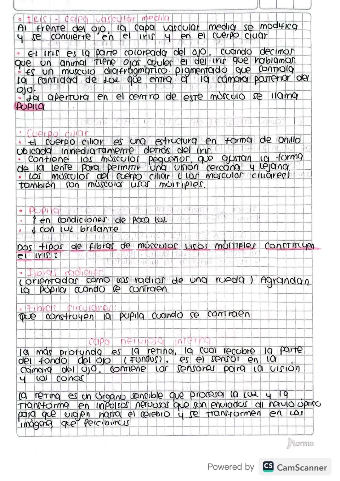 f
1. Parpados:
*   Ubicados sobre la superficie externa.
9
piel mas delgada, movil y flexible dei /
En el borde de la superficie cuerpo.
ext