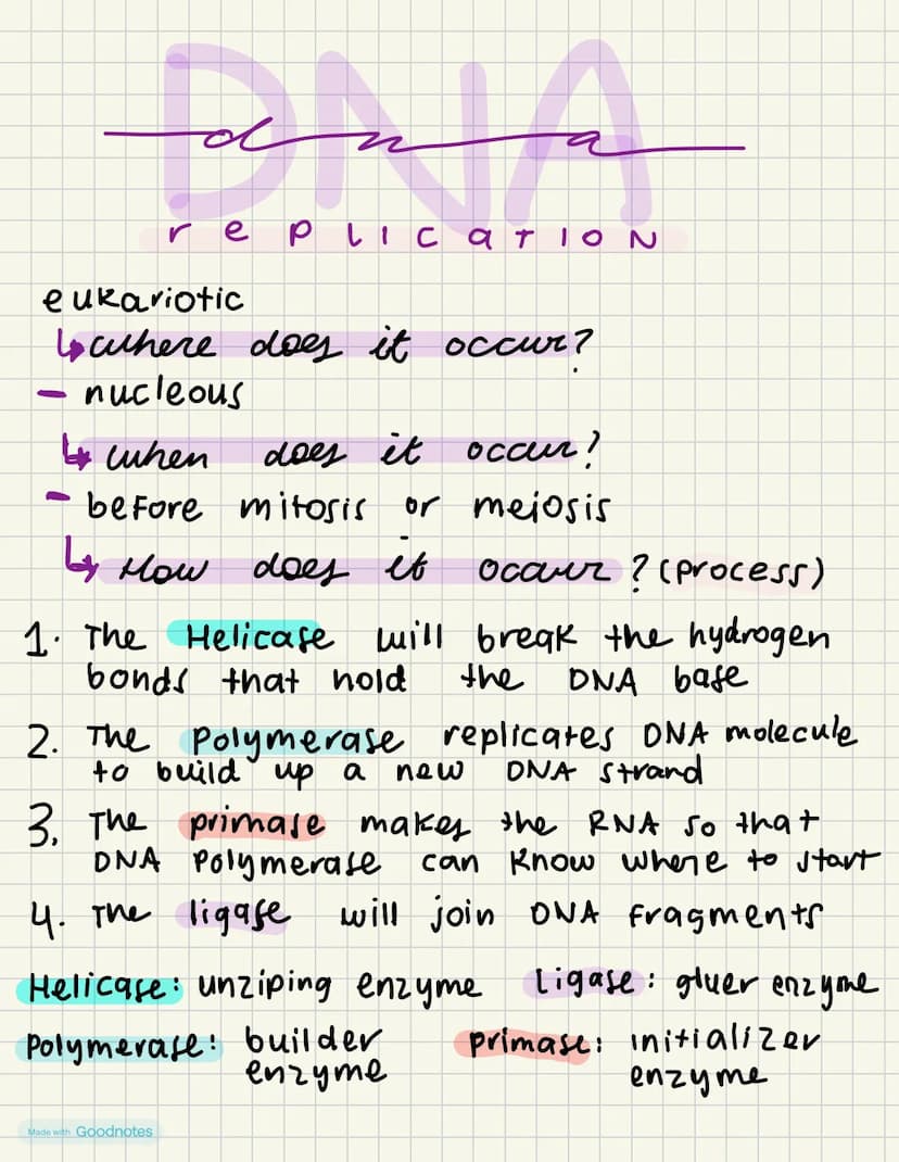 ол
replLICATION
eukariotic
↳ where does it occur?
nucleous
when
does it occur?
before mitosis or meiosis
by
-
How does it
bonds that hold
oc