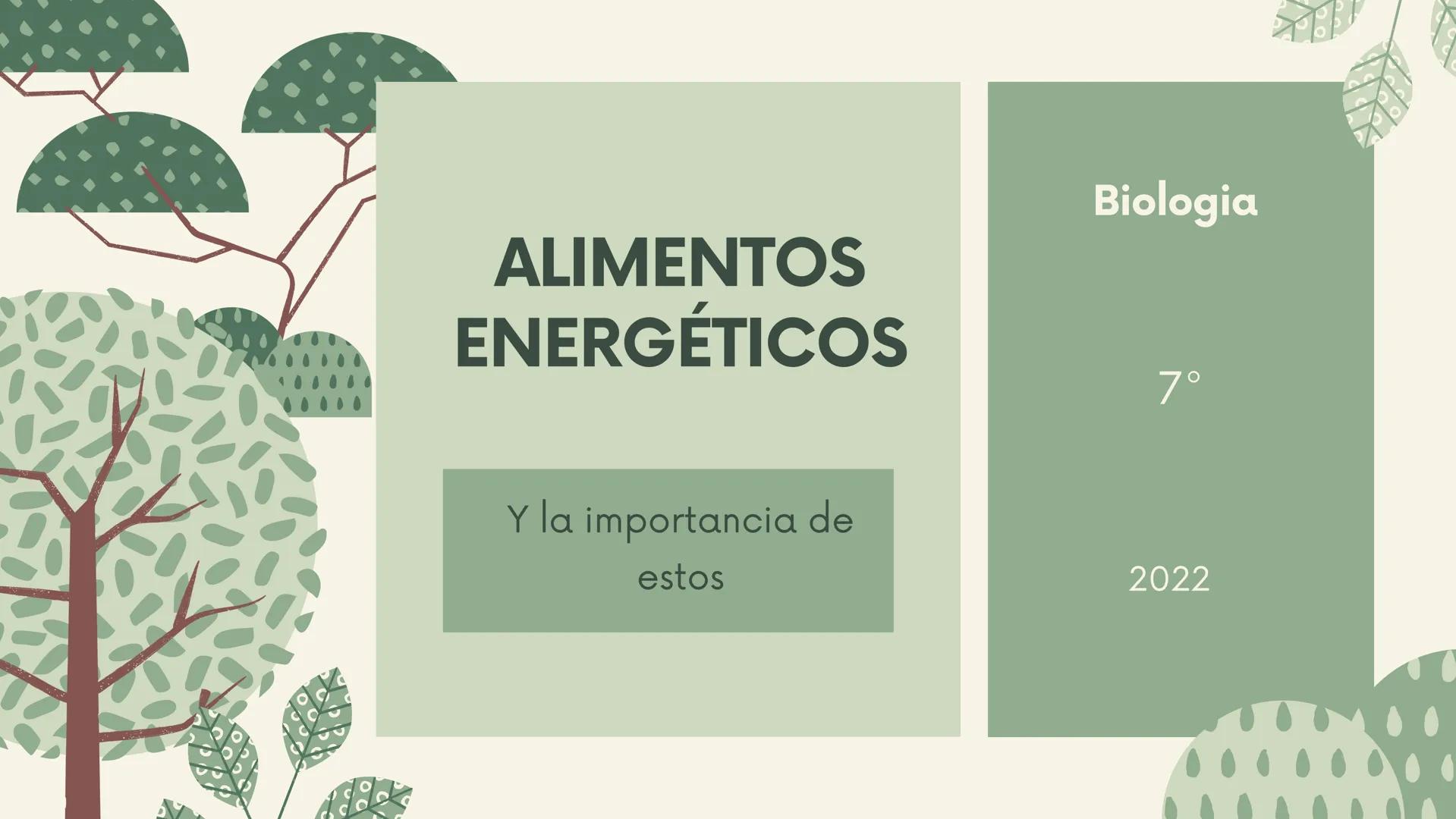 # ALIMENTOS
## ENERGÉTICOS

Y la importancia de
estos

Biologia

7°

2022 # ¿QUÉ SON?

Son los que proveen la energía para realizar
distinta