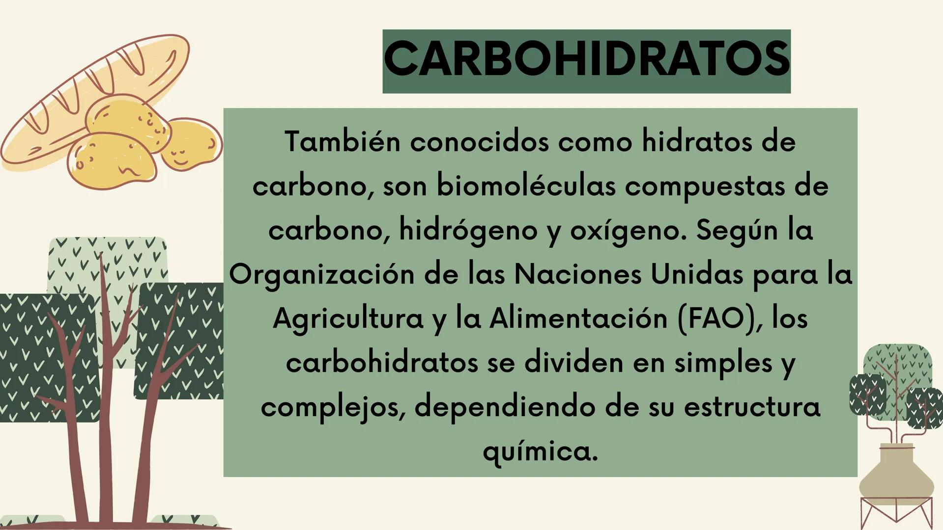 # ALIMENTOS
## ENERGÉTICOS

Y la importancia de
estos

Biologia

7°

2022 # ¿QUÉ SON?

Son los que proveen la energía para realizar
distinta