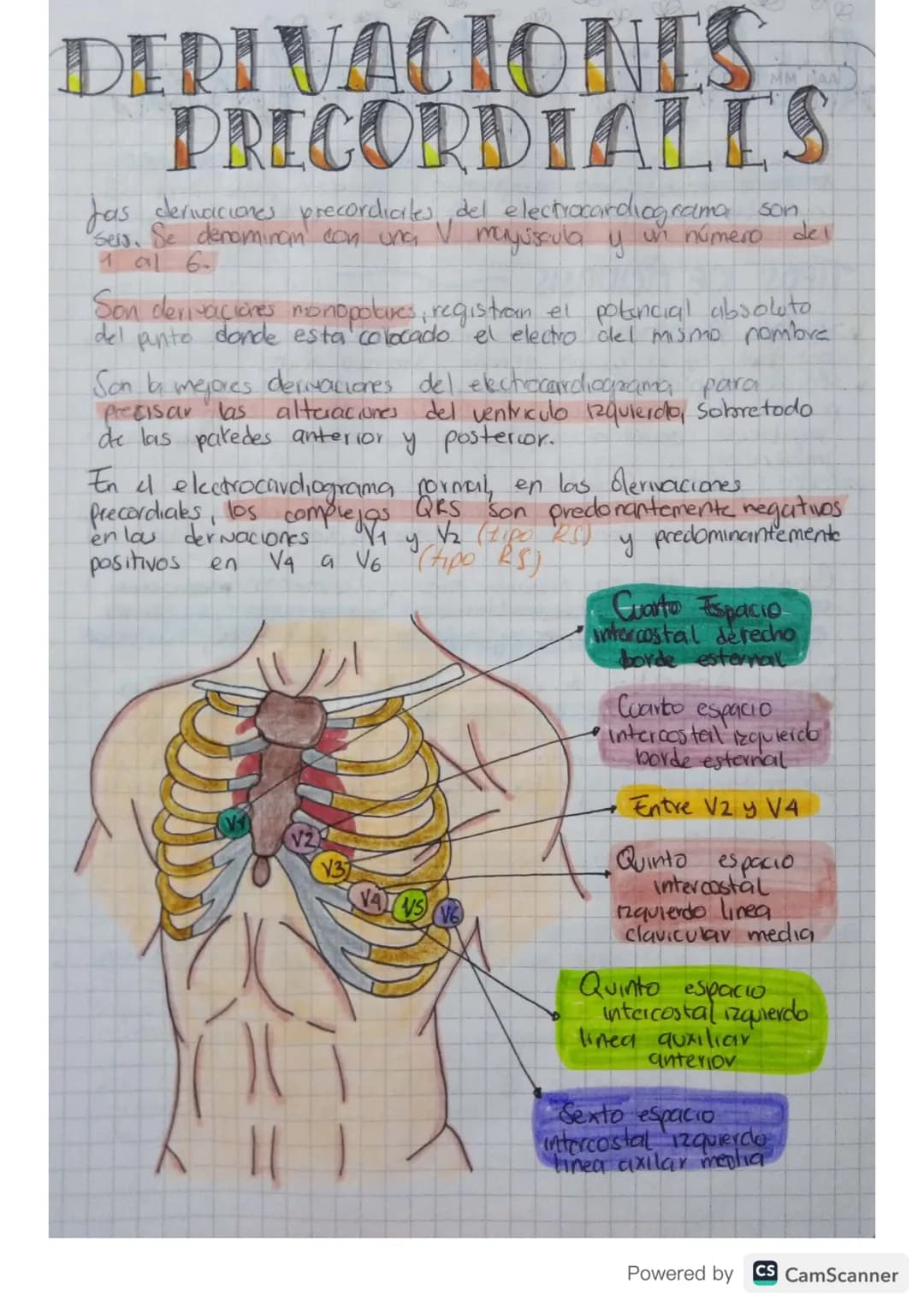 MM LAA
DERIVACIONES
PRICORDIALLS
fas derivaciones precordiales del electrocardiograma son
Seis. Se denominan con ung.
1 αl 6-
V
mayuscula y
