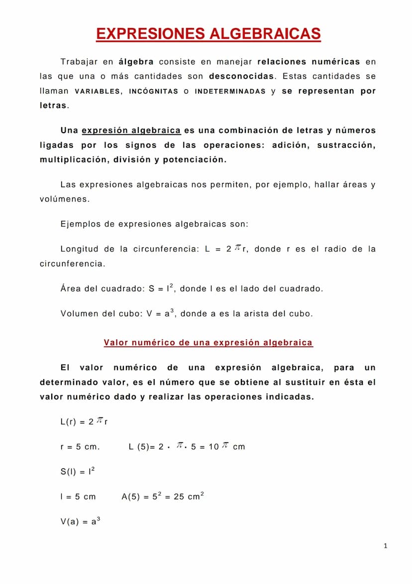EXPRESIONES ALGEBRAICAS
Trabajar en álgebra consiste en manejar relaciones numéricas en
las que una o más cantidades son desconocidas. Estas