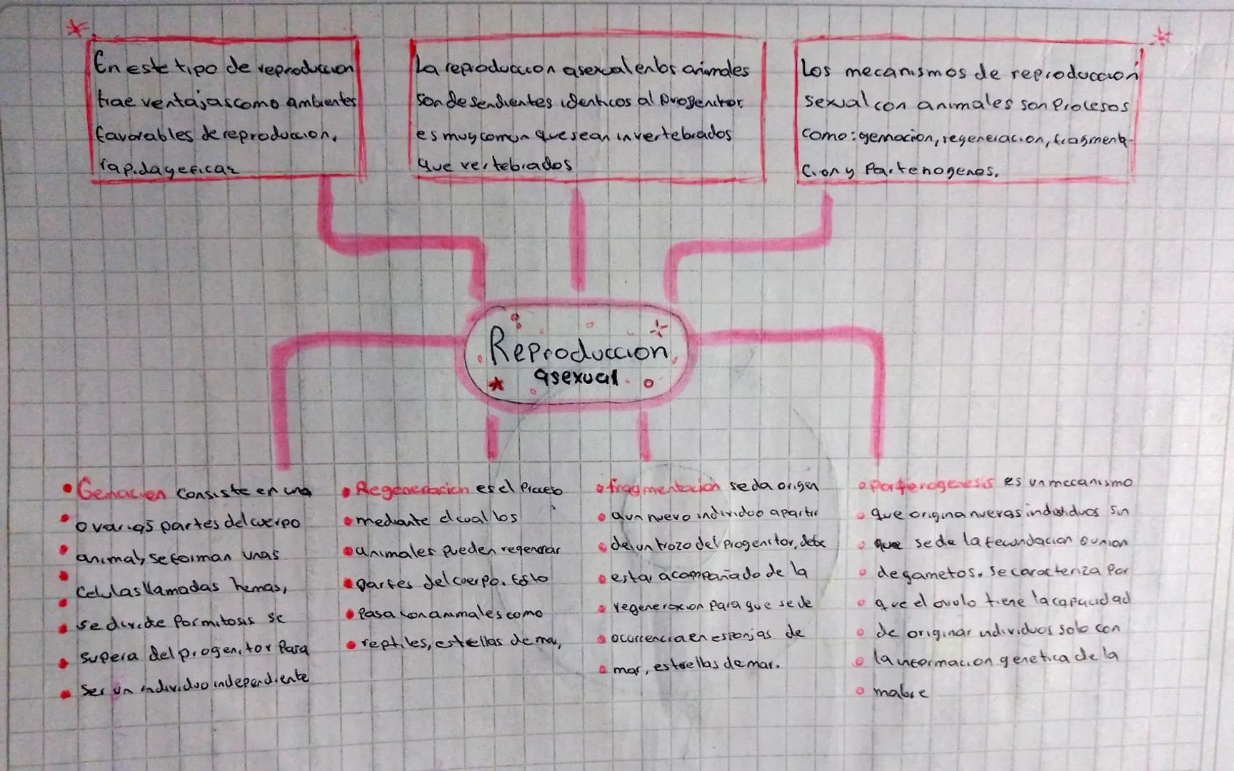 2.
*
ReProduccion
SEXUAL ASEXUAL
Conanimales
Lea reproduccion asexual, salvo por mutacion,
no se produce variabilidad genetica, bo que no
Se