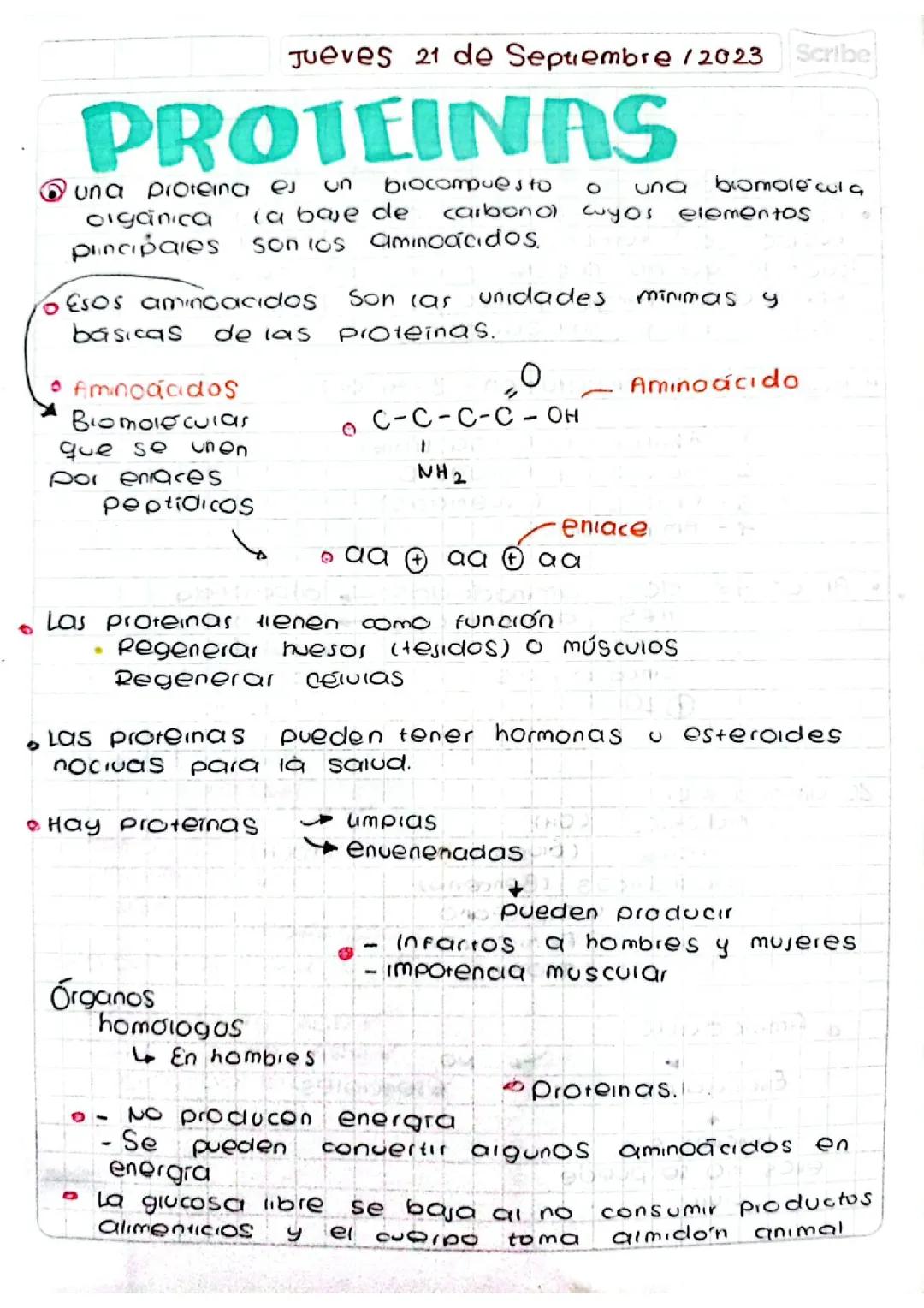 Apunte sobre proteinas 