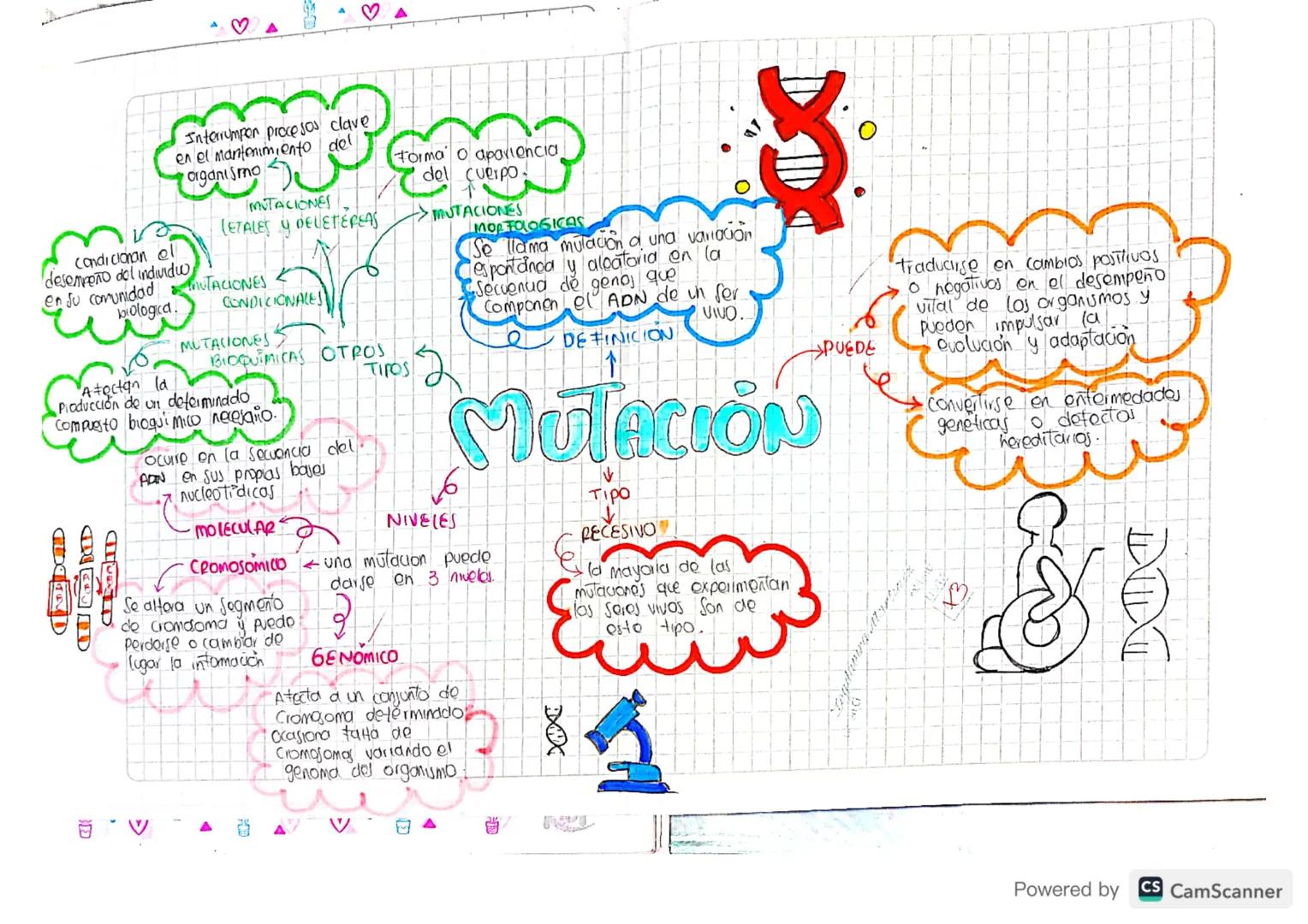 traducirse en cambios positivos
o negativos en el desempeño
vital de los organismos y.
pueden impulsar la
Qvolucion y adaptacion
Convertirse