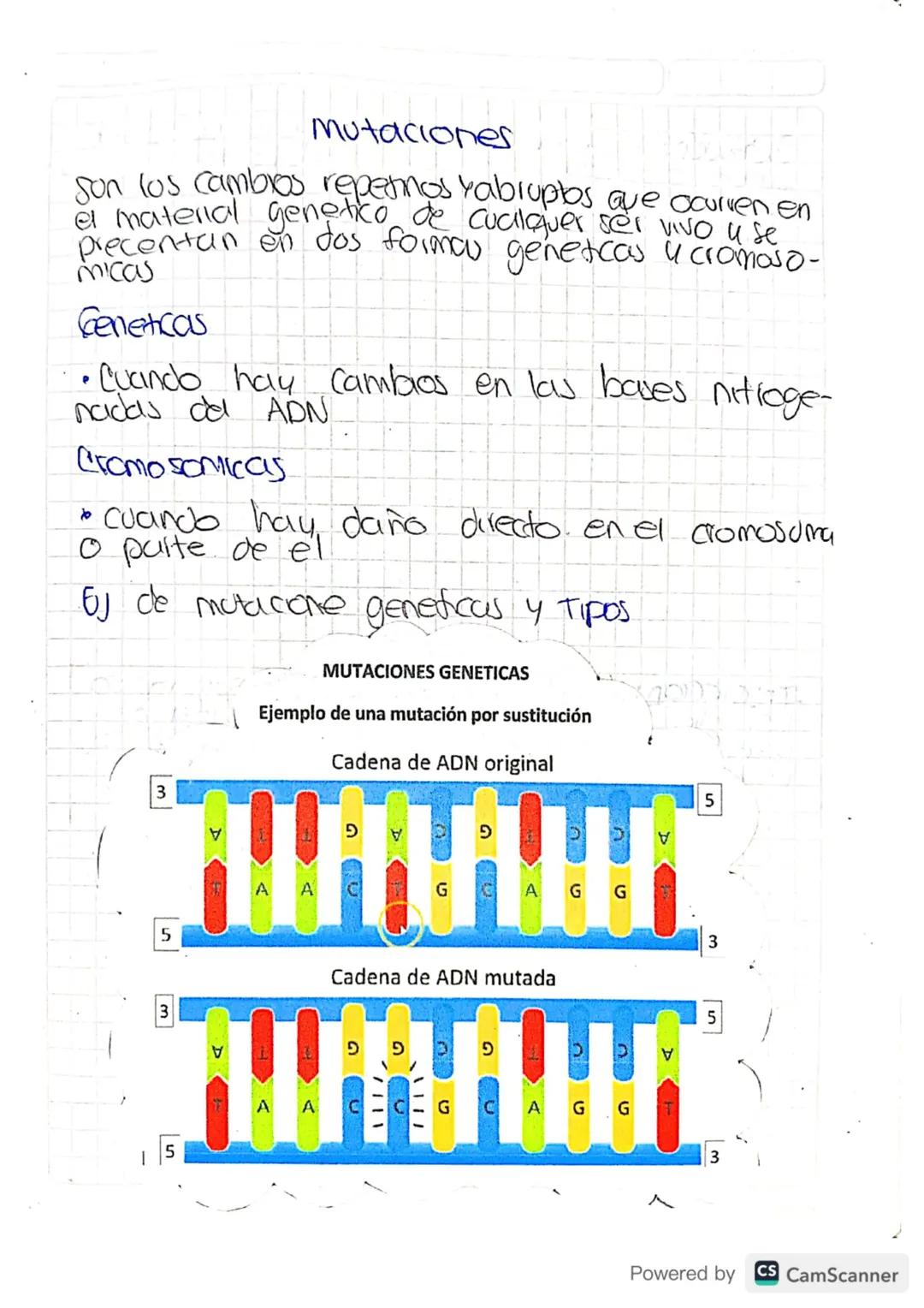 traducirse en cambios positivos
o negativos en el desempeño
vital de los organismos y.
pueden impulsar la
Qvolucion y adaptacion
Convertirse