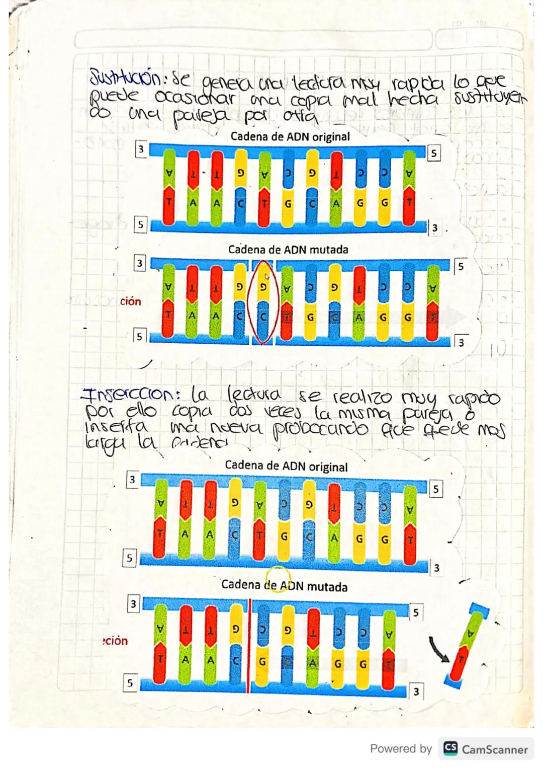 traducirse en cambios positivos
o negativos en el desempeño
vital de los organismos y.
pueden impulsar la
Qvolucion y adaptacion
Convertirse