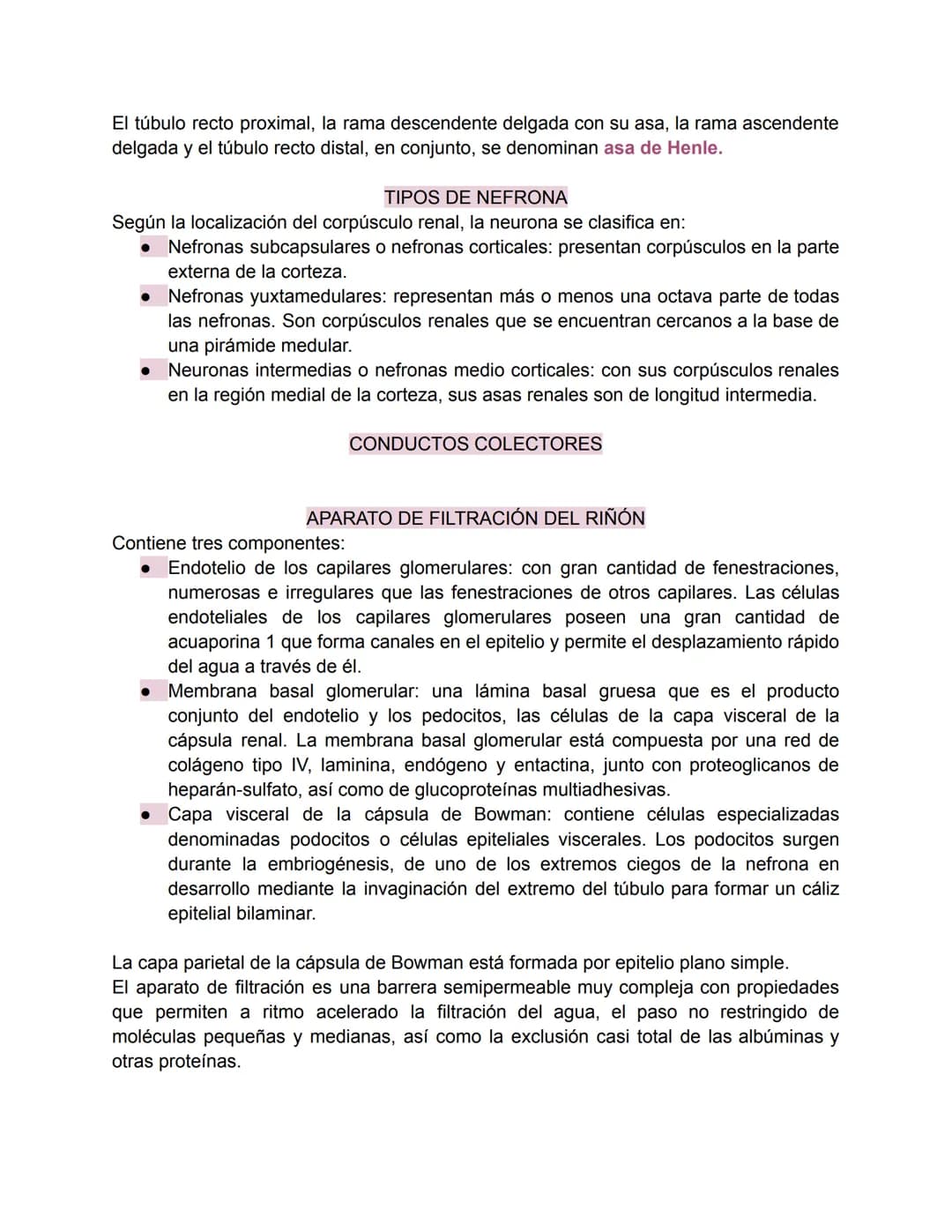 Sistema urinario-Valentina Becerra
FUNDAMENTOS DEL APARATO URINARIO
El aparato urinario está compuesto por:
• Dos riñones
Dos uréteres: tran