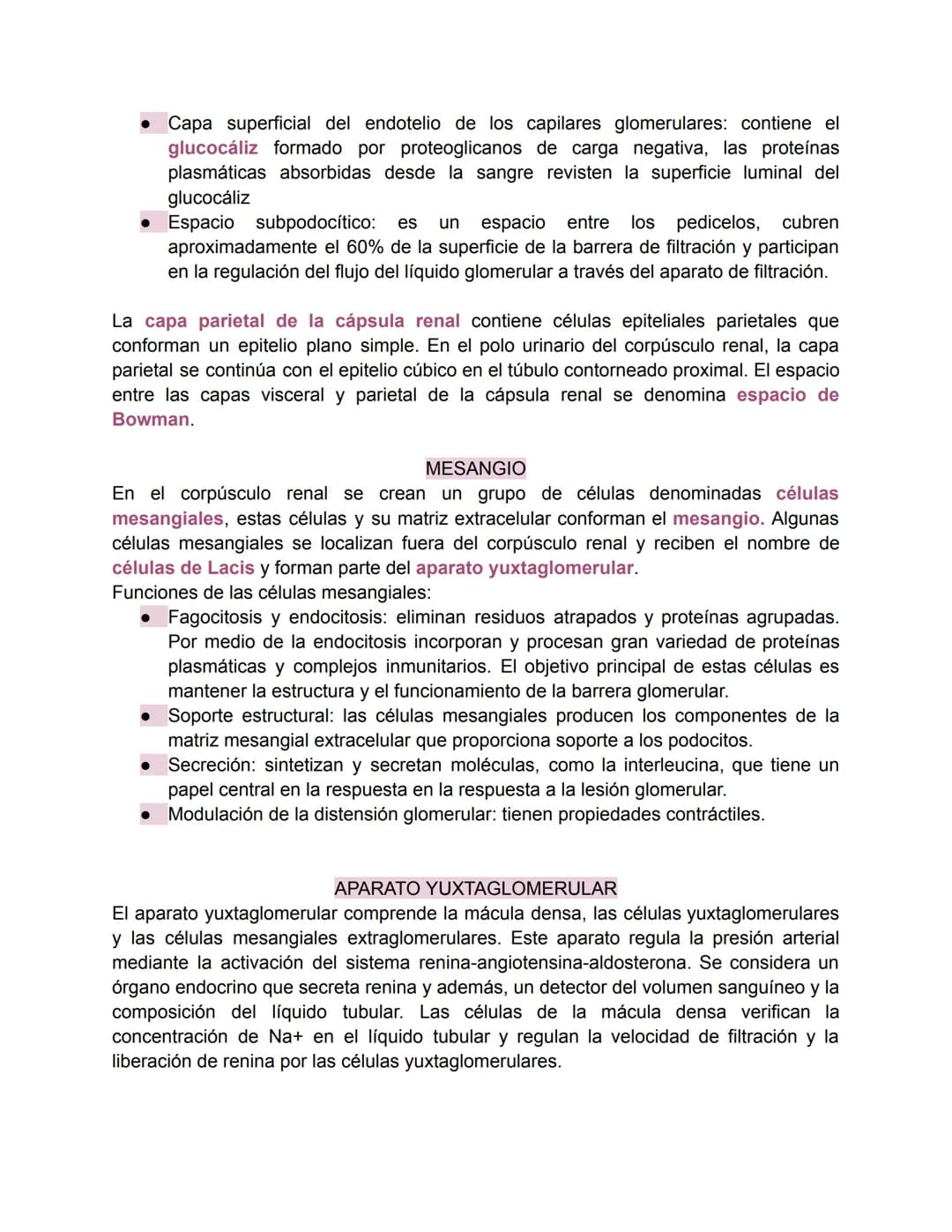 Sistema urinario-Valentina Becerra
FUNDAMENTOS DEL APARATO URINARIO
El aparato urinario está compuesto por:
• Dos riñones
Dos uréteres: tran