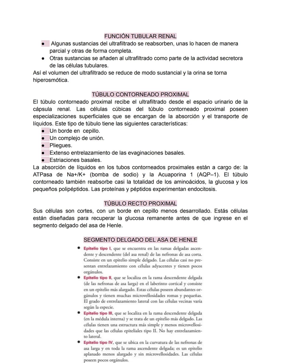 Sistema urinario-Valentina Becerra
FUNDAMENTOS DEL APARATO URINARIO
El aparato urinario está compuesto por:
• Dos riñones
Dos uréteres: tran