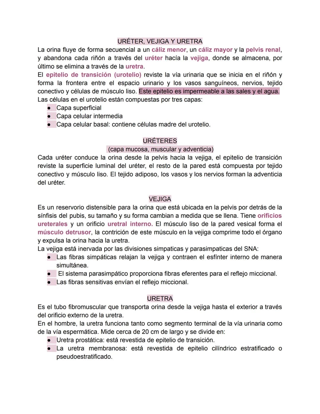 Sistema urinario-Valentina Becerra
FUNDAMENTOS DEL APARATO URINARIO
El aparato urinario está compuesto por:
• Dos riñones
Dos uréteres: tran
