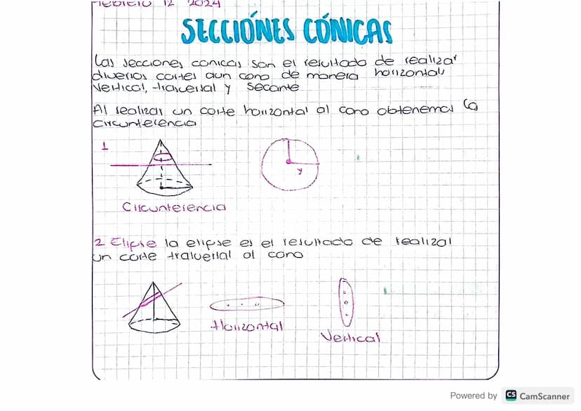 12 2024
SECCIONES CONICAS
las secciones conicas son el resultado de realizar
diverios cortes dun cono de monela
NeHico!, -rasversal y
secant