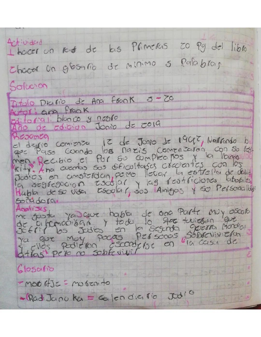 Resumen de las Primeras Páginas del Diario de Ana Frank