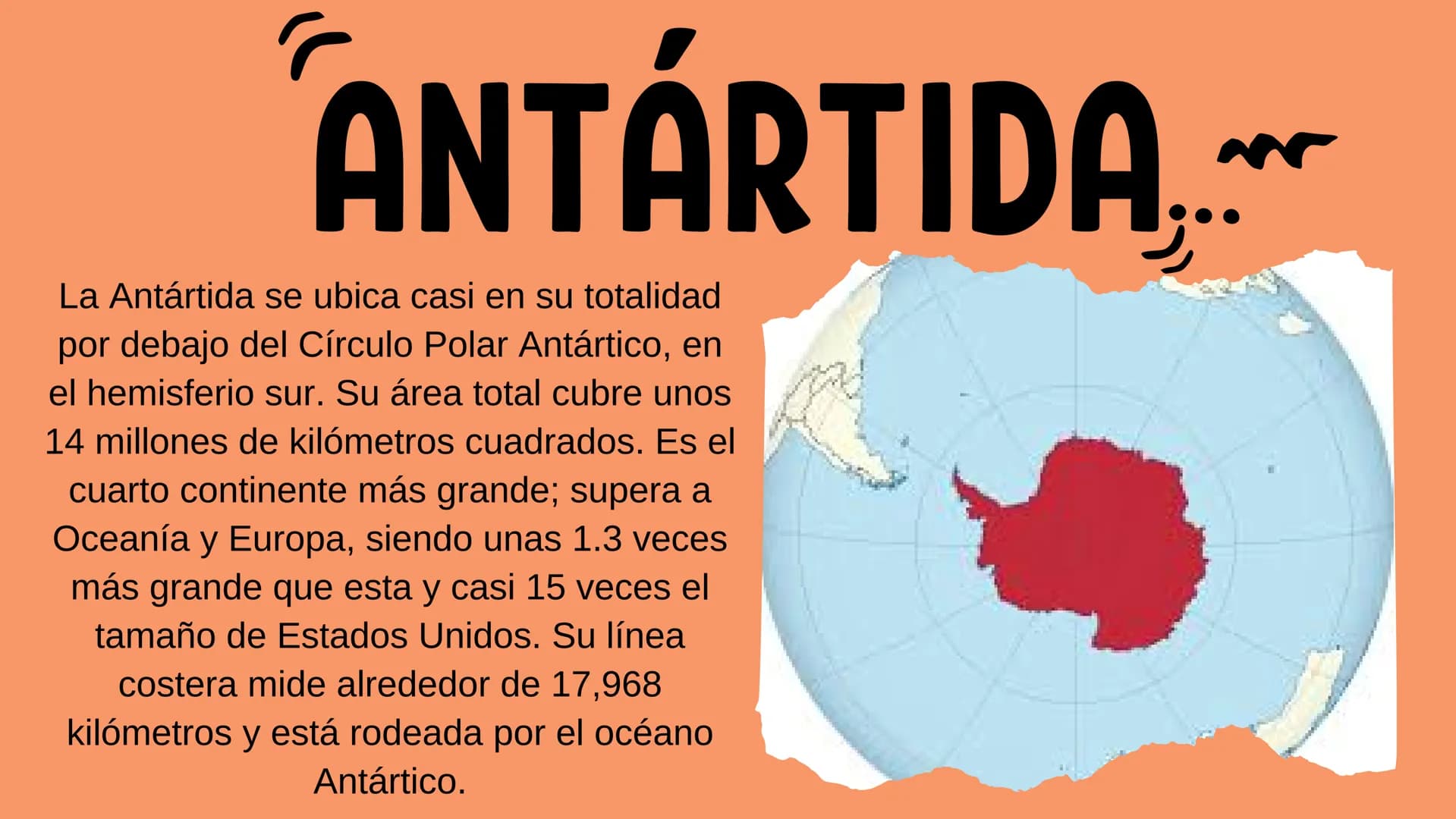 ANTÁRTIDA....
La Antártida se ubica casi en su totalidad
por debajo del Círculo Polar Antártico, en
el hemisferio sur. Su área total cubre u