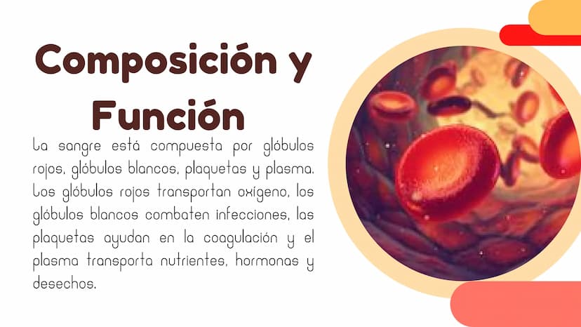 La Sangre:
El fluido Vital Composición y
Función
La sangre está compuesta por glóbulos
rojos, glóbulos blancos, plaquetas y plasma.
Los glób