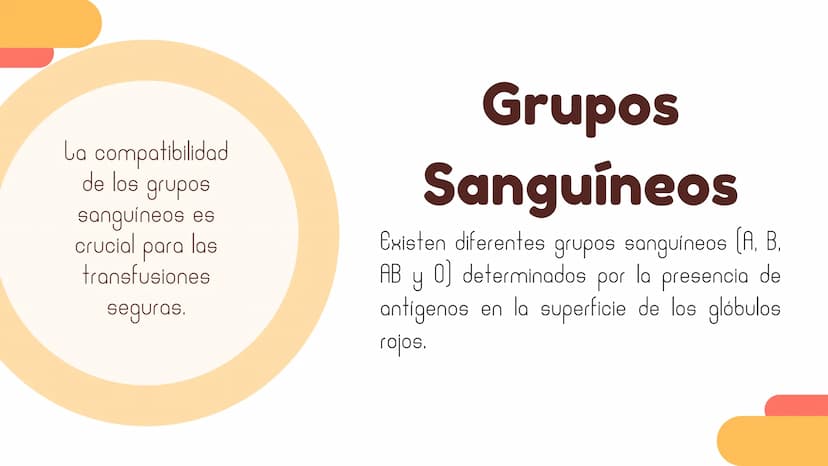 La Sangre:
El fluido Vital Composición y
Función
La sangre está compuesta por glóbulos
rojos, glóbulos blancos, plaquetas y plasma.
Los glób