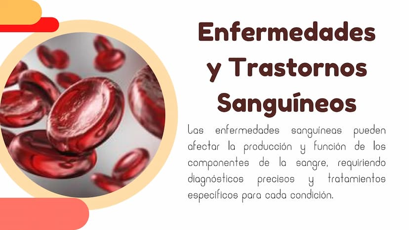 La Sangre:
El fluido Vital Composición y
Función
La sangre está compuesta por glóbulos
rojos, glóbulos blancos, plaquetas y plasma.
Los glób