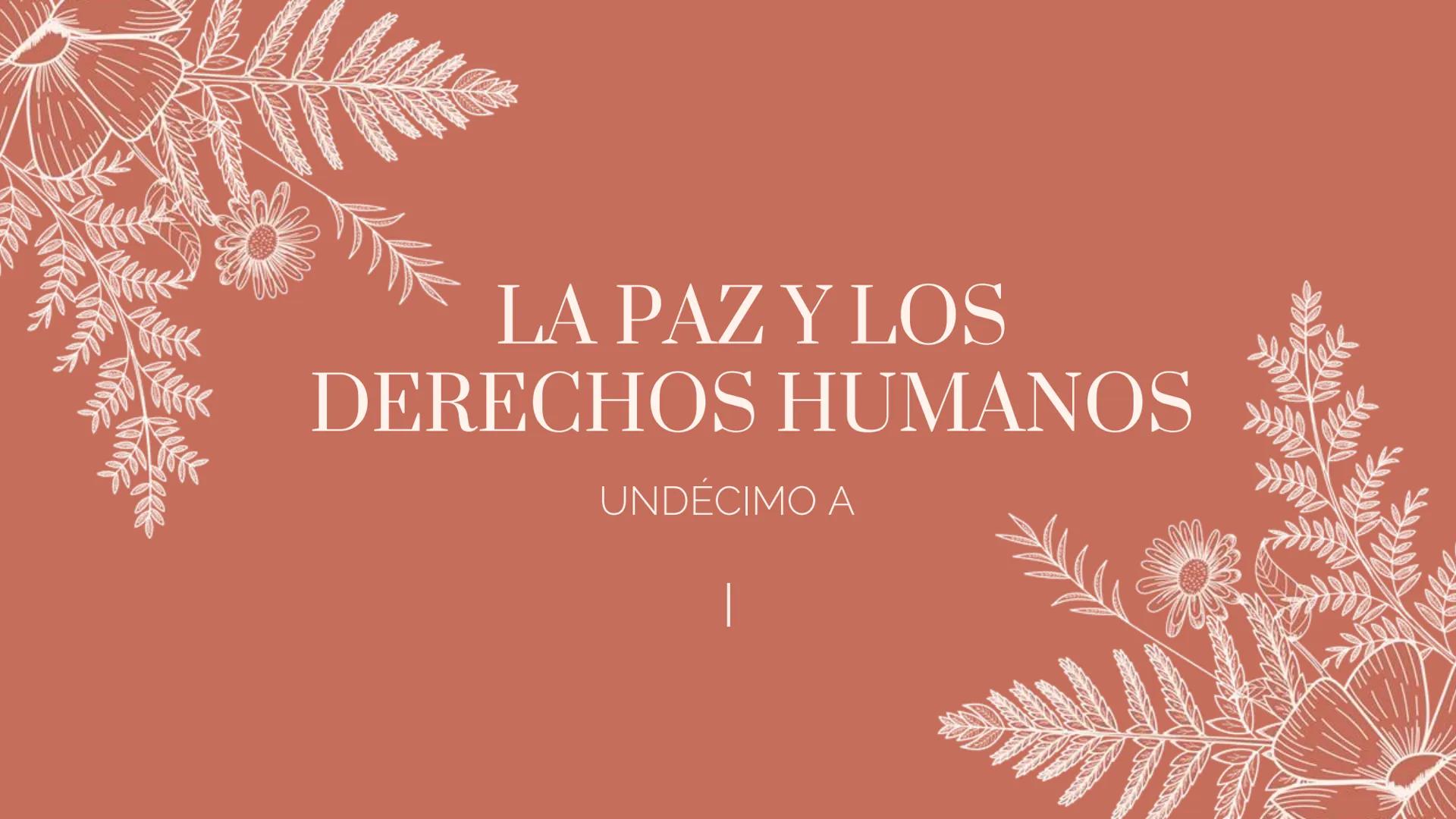 LA PAZ Y LOS
DERECHOS HUMANOS
UNDÉCIMO A LOS DERECHOS HUMANOS
Los derechos humanos son derechos y libertades
fundamentales que tenemos todas