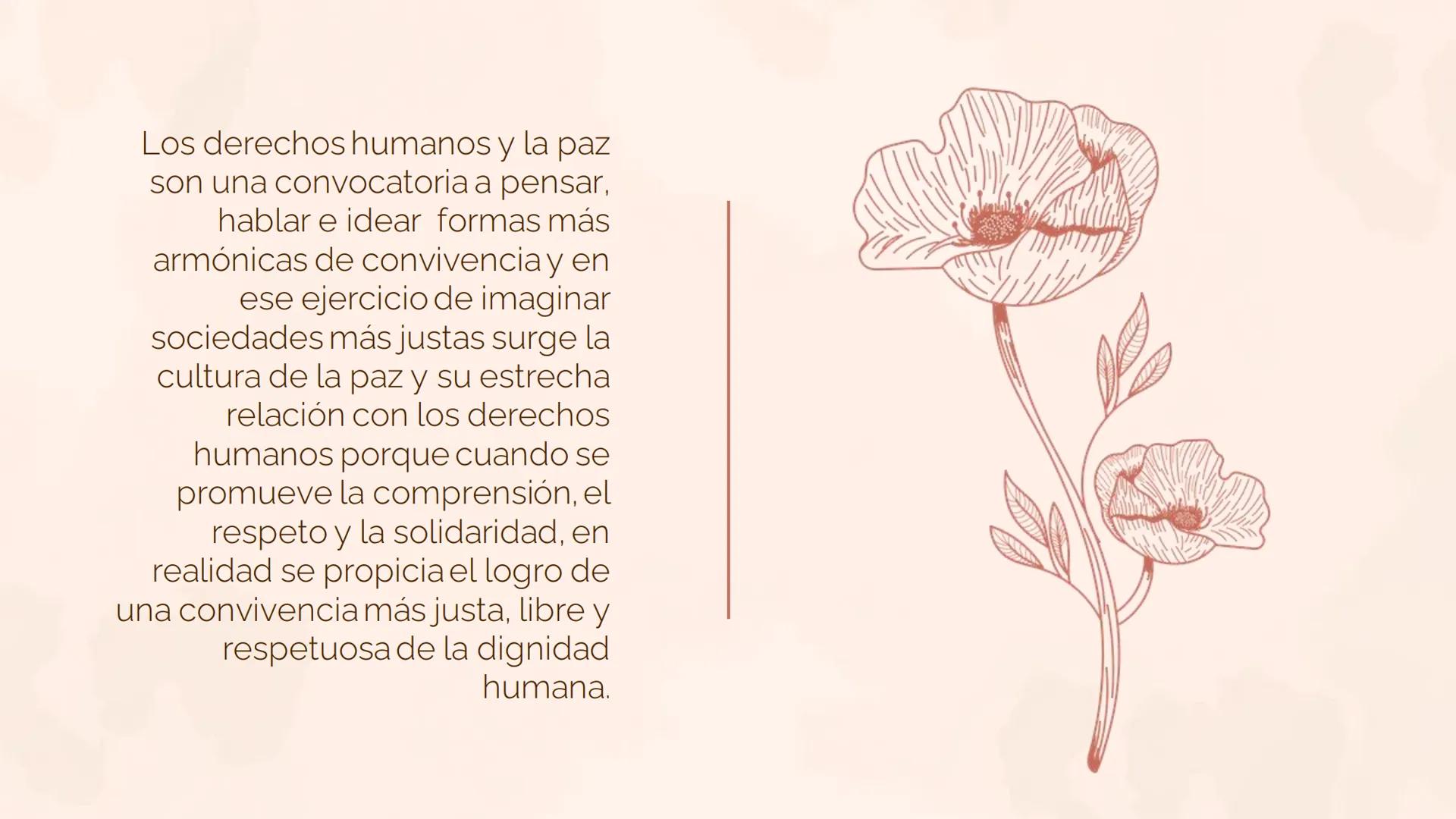 LA PAZ Y LOS
DERECHOS HUMANOS
UNDÉCIMO A LOS DERECHOS HUMANOS
Los derechos humanos son derechos y libertades
fundamentales que tenemos todas