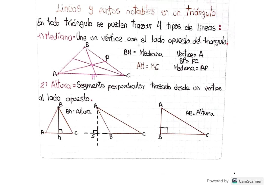 Triángulos 