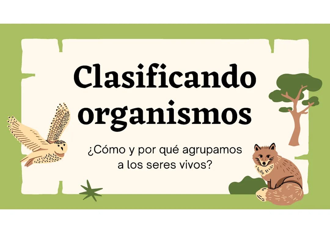 Clasificación de los organismos 