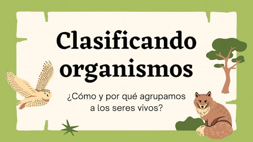 Clasificando
organismos
¿Cómo y por qué agrupamos
a los seres vivos?
いい
111 Enfoque de hoy
Clasificación
El rol de la clasificación
Herramie