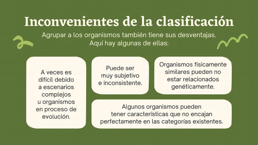 Clasificando
organismos
¿Cómo y por qué agrupamos
a los seres vivos?
いい
111 Enfoque de hoy
Clasificación
El rol de la clasificación
Herramie