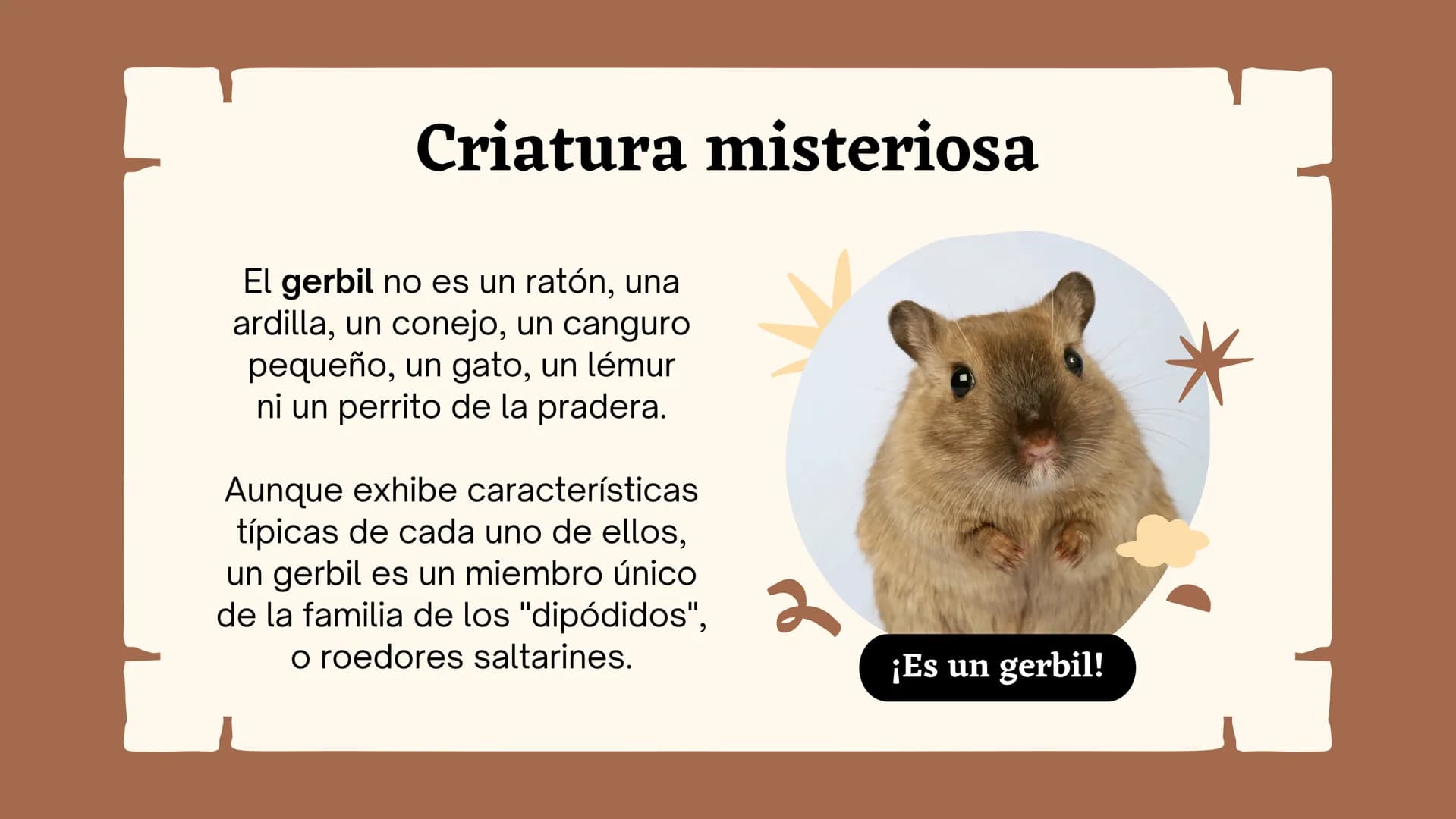 Clasificando
organismos
¿Cómo y por qué agrupamos
a los seres vivos?
いい
111 Enfoque de hoy
Clasificación
El rol de la clasificación
Herramie