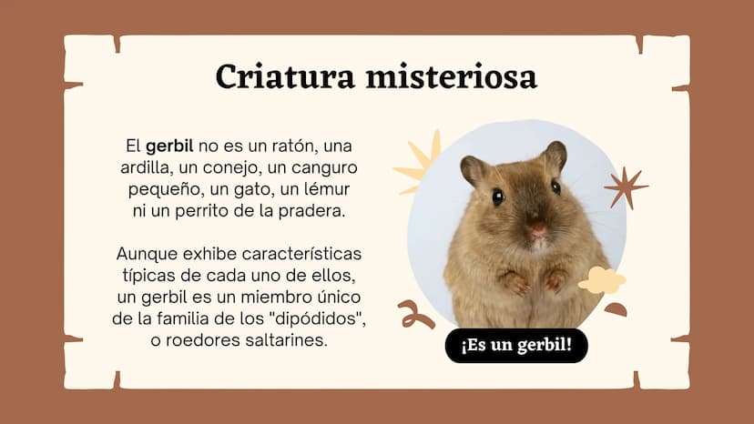 Clasificando
organismos
¿Cómo y por qué agrupamos
a los seres vivos?
いい
111 Enfoque de hoy
Clasificación
El rol de la clasificación
Herramie